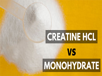 Is Creatine HCL Better Than Creatine Monohydrate？